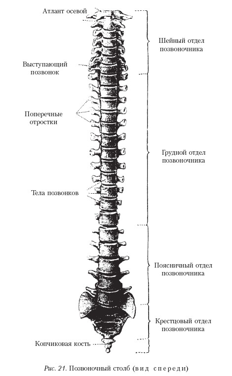 Массаж _21.jpg