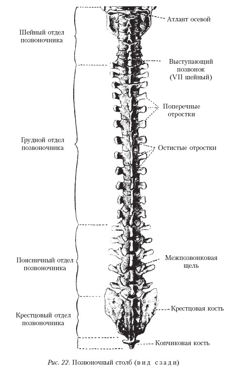 Массаж _22.jpg