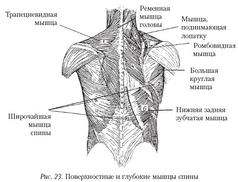 Массаж _23.jpg