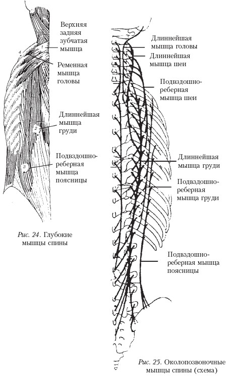 Массаж _25.jpg
