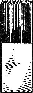 И столяр, и плотник i_117.png