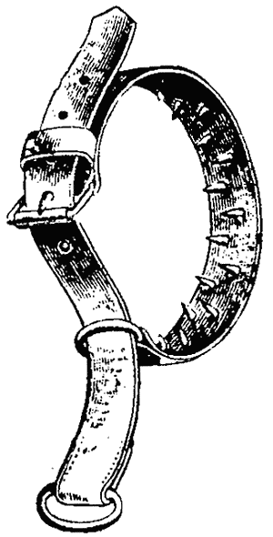 Руководство дрессировки полицейских и военных собак i_013.png