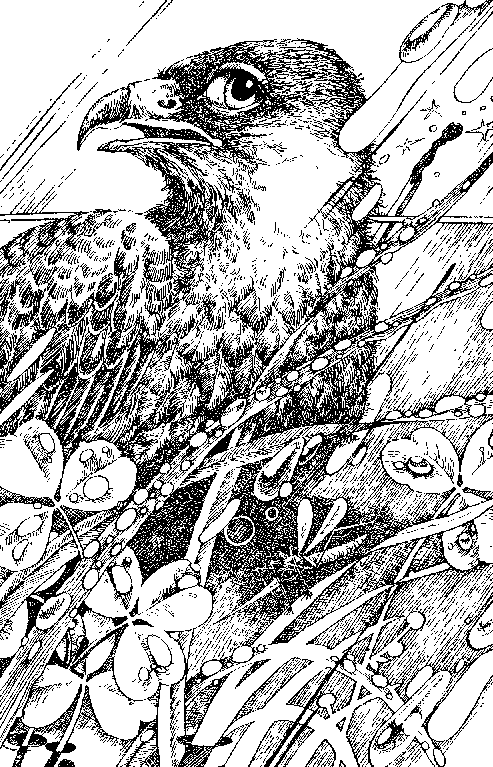 Північна зірка doc2fb_image_0300000B.png