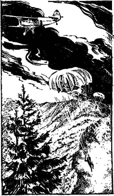 Искатель. 1987. Выпуск №2 i_004.png