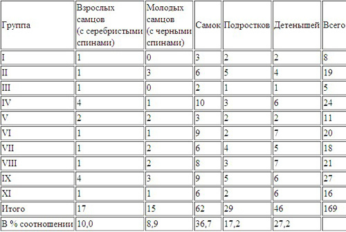 Год под знаком гориллы i_012.jpg