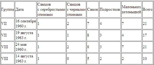 Год под знаком гориллы i_028.jpg