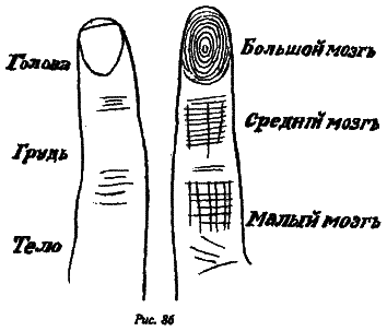 Полный курс хиромантии i_078.png