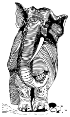 Энциклопедия животных i_002.png