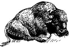 Энциклопедия животных i_026.png