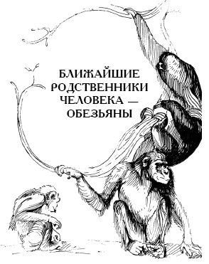 Энциклопедия животных i_027.png