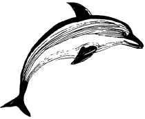 Энциклопедия животных i_033.png