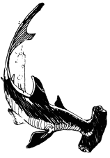 Энциклопедия животных i_035.png