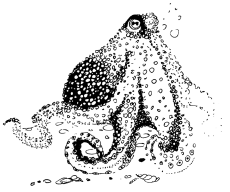 Энциклопедия животных i_036.png