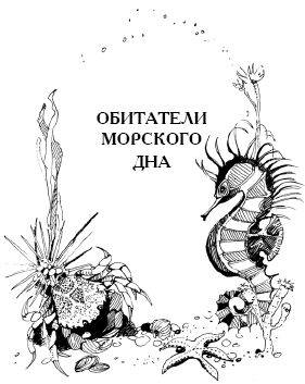 Энциклопедия животных i_039.png