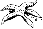 Энциклопедия животных i_040.png