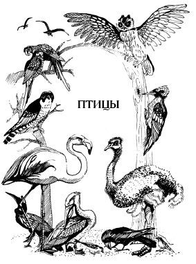 Энциклопедия животных i_045.png