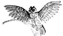 Энциклопедия животных i_054.png