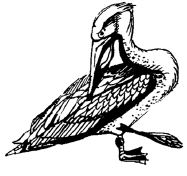 Энциклопедия животных i_059.png