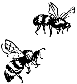 Энциклопедия животных i_062.png