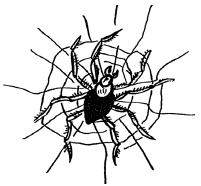 Энциклопедия животных i_063.png