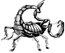Энциклопедия животных i_066.png