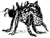 Энциклопедия животных i_067.png