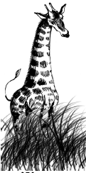 Энциклопедия животных i_006.png