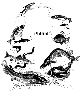 Энциклопедия животных i_081.png