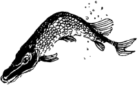 Энциклопедия животных i_083.png