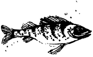 Энциклопедия животных i_084.png
