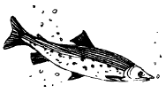 Энциклопедия животных i_087.png