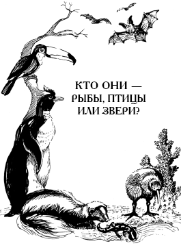 Энциклопедия животных i_088.png