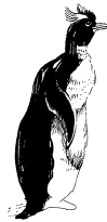 Энциклопедия животных i_089.png