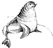 Энциклопедия животных i_090.png