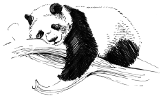 Энциклопедия животных i_093.png