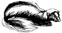 Энциклопедия животных i_094.png