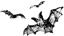 Энциклопедия животных i_095.png