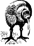Энциклопедия животных i_096.png
