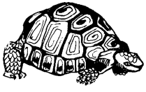 Энциклопедия животных i_012.png