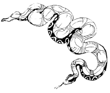 Энциклопедия животных i_013.png