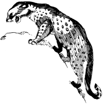 Энциклопедия животных i_015.png