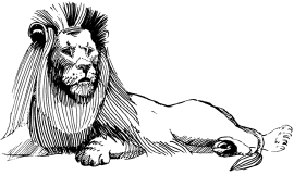 Энциклопедия животных i_016.png