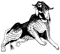 Энциклопедия животных i_017.png
