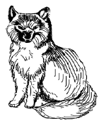 Энциклопедия животных i_020.png