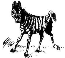 Энциклопедия животных i_023.png
