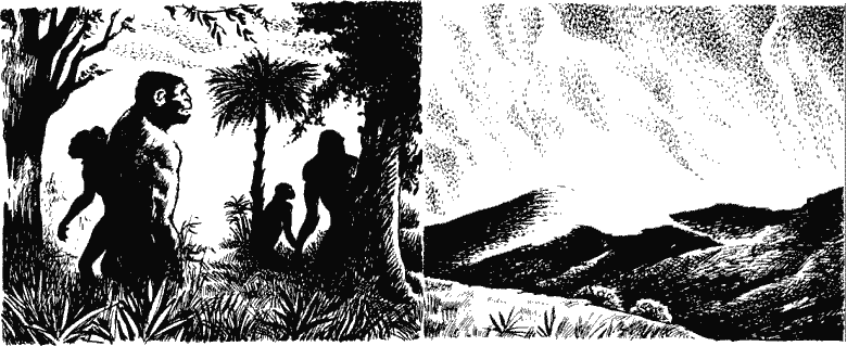 Когда человека не было Kchn11411_.png