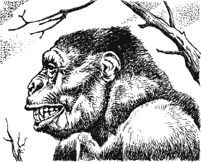 Когда человека не было Kchn1012_.png