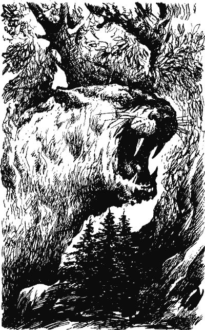 Когда человека не было Kchn2161_.png