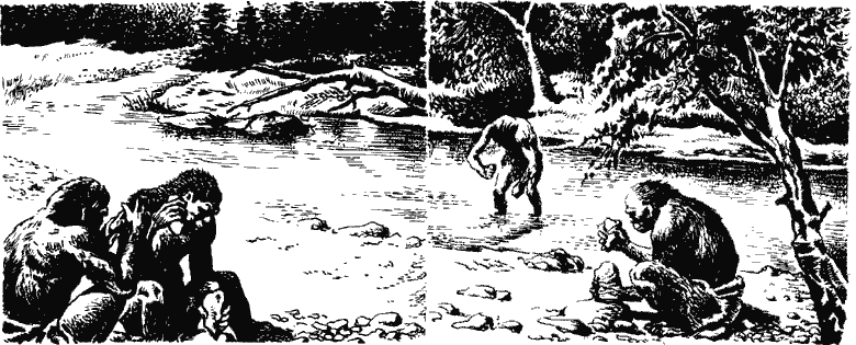Когда человека не было Kchn21622_.png