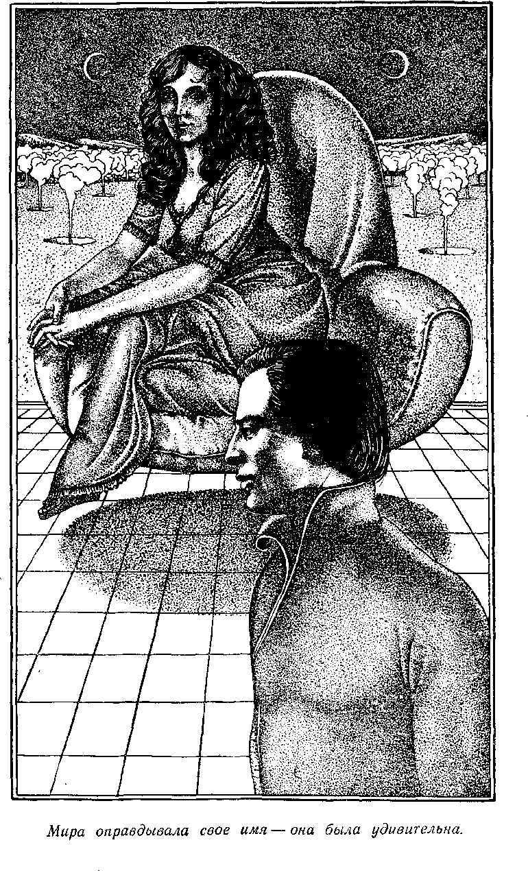 Посол без верительных грамот i_007.png